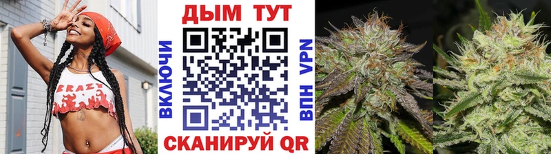 Где купить наркоту Рассказово Марихуана  Меф  ГАШИШ 