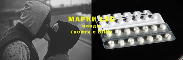 прущая мука Вяземский