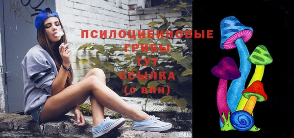 винт Няндома