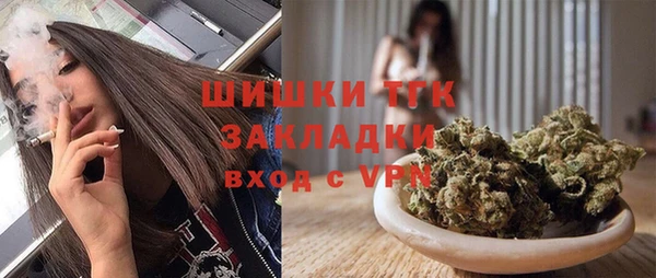 винт Няндома