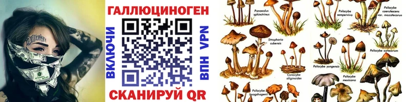 Псилоцибиновые грибы мицелий  Рассказово 