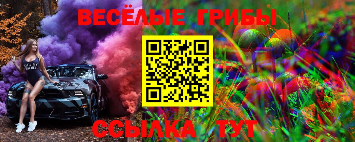 Галлюциногенные грибы мухоморы  продажа наркотиков  Рассказово  Галлюциногенные грибы MAGIC MUSHROOMS 