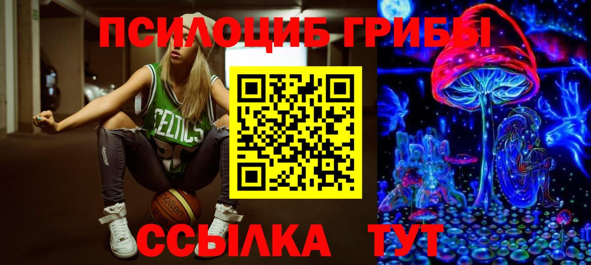 Псилоцибиновые грибы Cubensis Рассказово