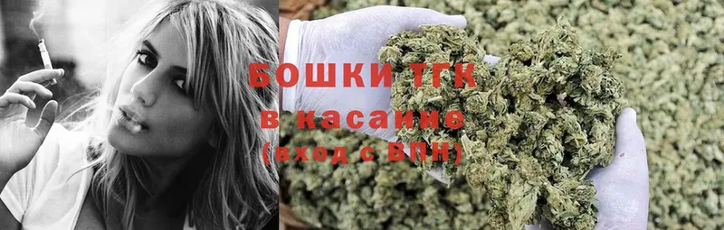 купить закладку  Рассказово  Конопля SATIVA & INDICA 